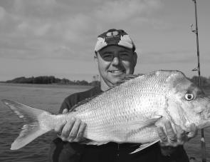 School jewfish numbers tend to increase at this time of year, with good numbers of 3kg to 8kg fish in the lower reachers. 